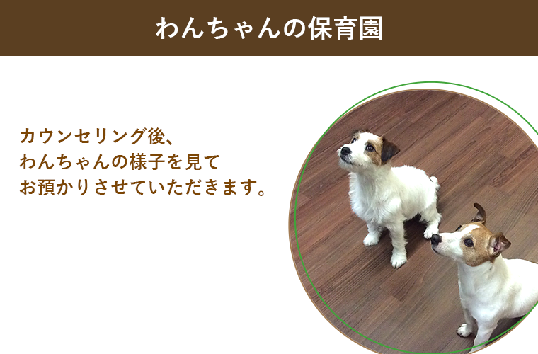 トップページ | DOG TOWN AZUSAWA